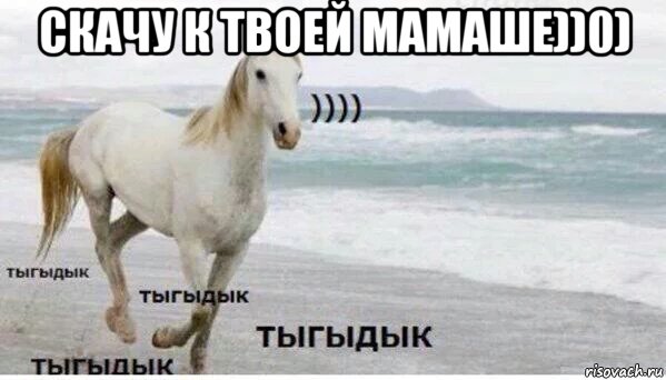 скачу к твоей мамаше))0) , Мем   Тыгыдык