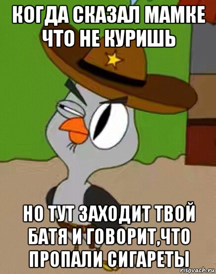 когда сказал мамке что не куришь но тут заходит твой батя и говорит,что пропали сигареты, Мем    Упоротая сова