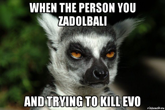 when the person you zadolbali and trying to kill evo, Мем   Я збагоен