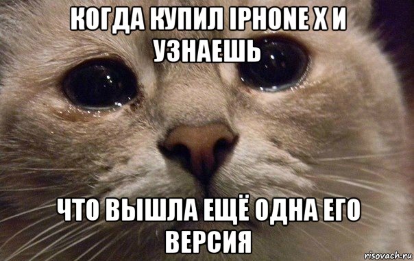 когда купил iphone x и узнаешь что вышла ещё одна его версия, Мем   В мире грустит один котик