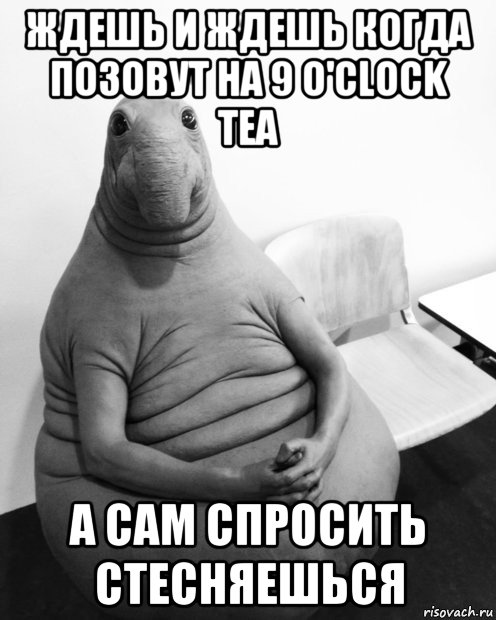 ждешь и ждешь когда позовут на 9 o'clock tea а сам спросить стесняешься, Мем  Ждун