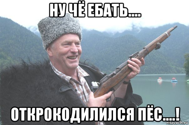 ну чё ебать.... открокодилился пёс....!, Мем жирик