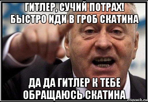 гитлер, сучий потрах! быстро иди в гроб скатина да да гитлер к тебе обращаюсь скатина, Мем жириновский ты