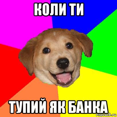 коли ти тупий як банка, Мем Advice Dog