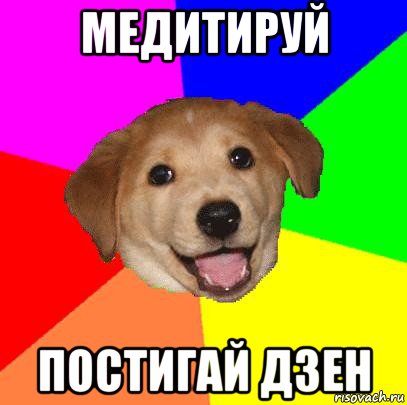 медитируй постигай дзен, Мем Advice Dog