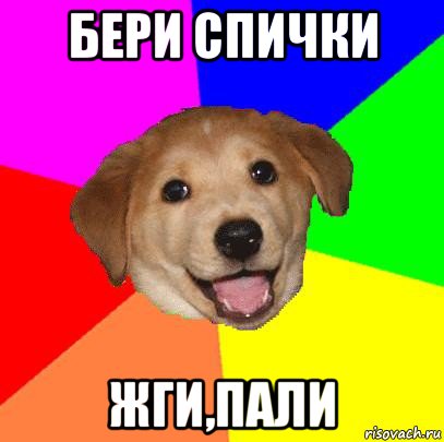 бери спички жги,пали, Мем Advice Dog