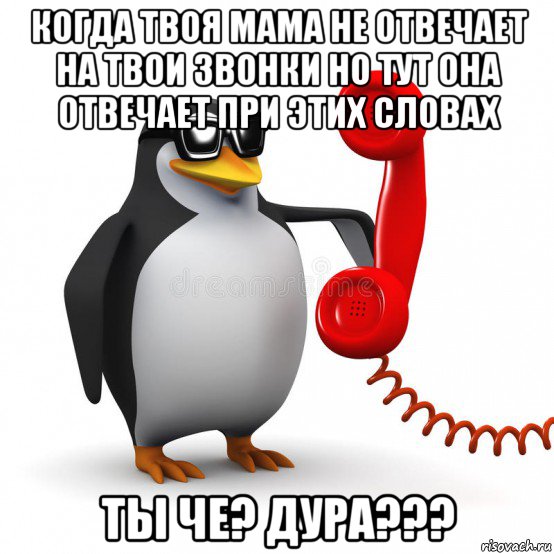 когда твоя мама не отвечает на твои звонки но тут она отвечает при этих словах ты че? дура???