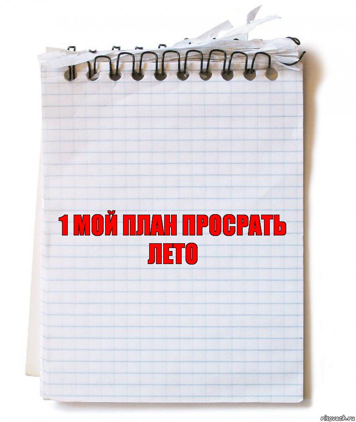 1 мой план просрать лето