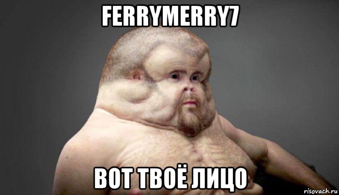 ferrymerry7 вот твоё лицо, Мем  Человек который выживет в лбом ДТП