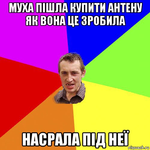 муха пішла купити антену як вона це зробила насрала під неї, Мем Чоткий паца