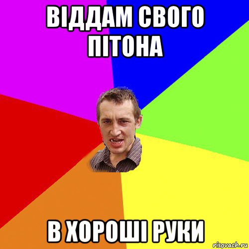 віддам свого пітона в хороші руки, Мем Чоткий паца