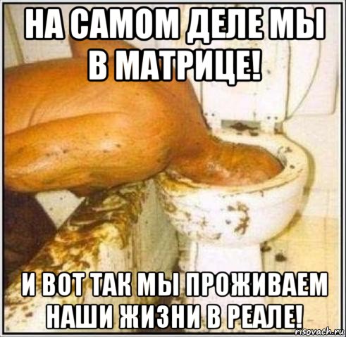 на самом деле мы в матрице! и вот так мы проживаем наши жизни в реале!, Мем Дайвер