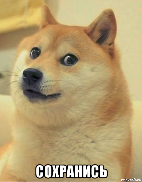  сохранись, Мем doge woof