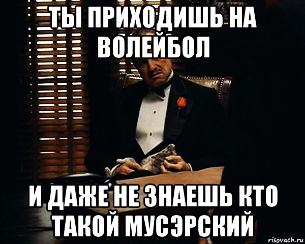 ты приходишь на волейбол и даже не знаешь кто такой мусэрский, Мем Дон Вито Корлеоне