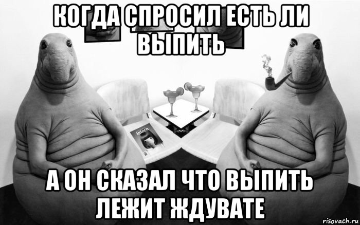 когда спросил есть ли выпить а он сказал что выпить лежит ждувате, Мем  Два ждуна