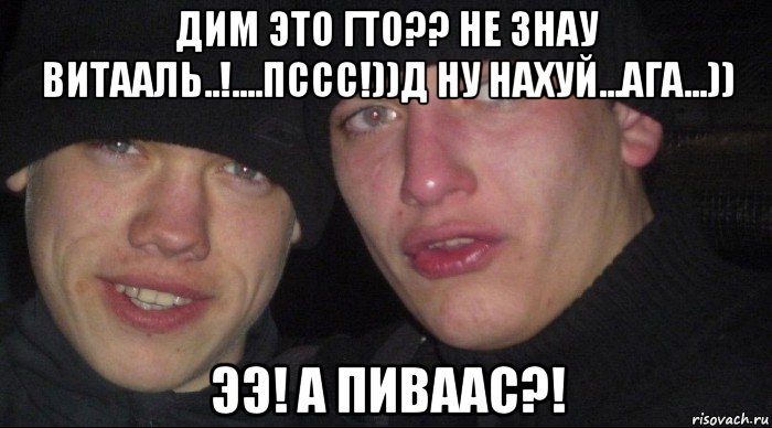 дим это гто?? не знау витааль..!....пссс!))д ну нахуй...ага...)) ээ! а пиваас?!, Мем Ебать ты лох