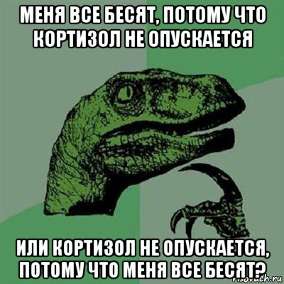 меня все бесят, потому что кортизол не опускается или кортизол не опускается, потому что меня все бесят?, Мем Филосораптор