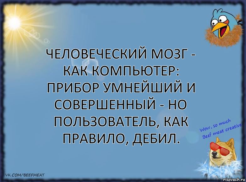 Человеческий мозг - как компьютер: прибор умнейший и совершенный - но пользователь, как правило, дебил., Комикс ФОН