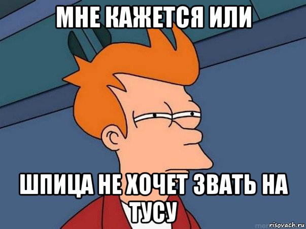 мне кажется или шпица не хочет звать на тусу, Мем  Фрай (мне кажется или)