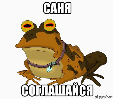 саня соглашайся