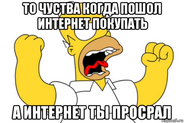 то чуства когда пошол интернет покупать а интернет ты просрал, Мем Разъяренный Гомер