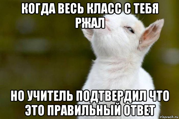 когда весь класс с тебя ржал но учитель подтвердил что это правильный ответ, Мем  Гордый козленок