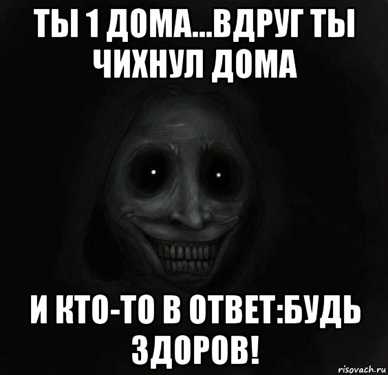 ты 1 дома...вдруг ты чихнул дома и кто-то в ответ:будь здоров!, Мем Ночной гость