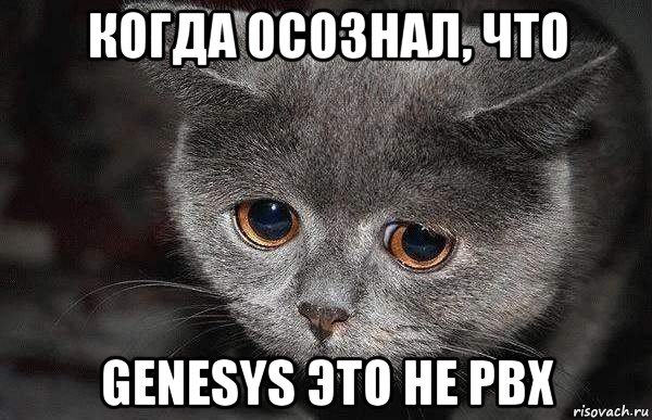 когда осознал, что genesys это не pbx