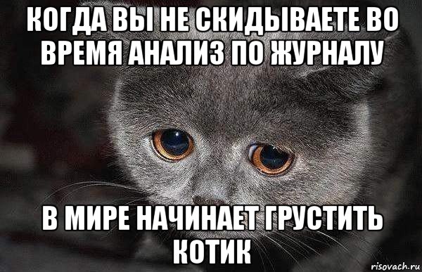 когда вы не скидываете во время анализ по журналу в мире начинает грустить котик, Мем  Грустный кот