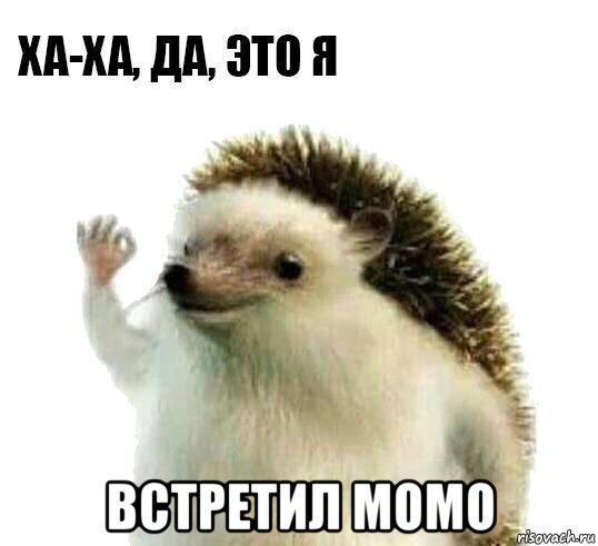  встретил момо