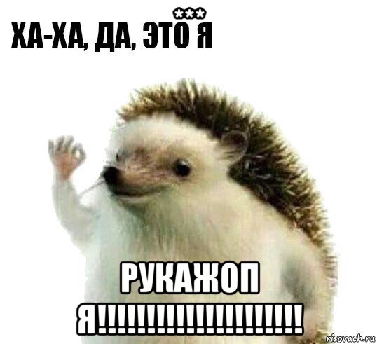 *** рукажоп я!!!!!!!!!!!!!!!!!!!!!, Мем Ха-ха да это я