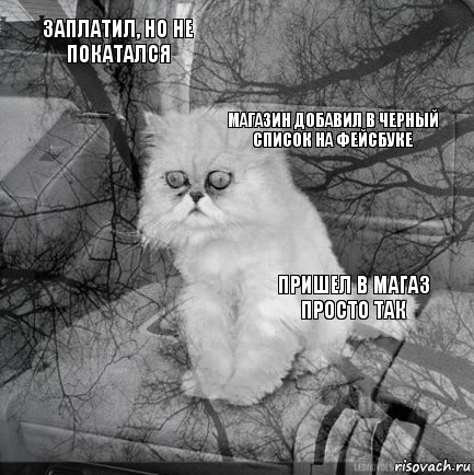 заплатил, но не покатался пришел в магаз просто так магазин добавил в черный список на фейсбуке       , Комикс  кот безысходность