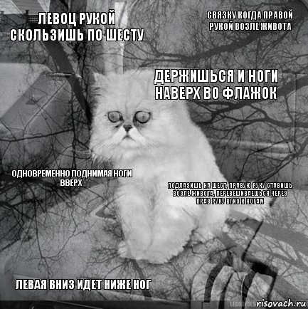 Левоц рукой скользишь по шесту Подлазишь на шест, правую руку ставишь возле живота, перевешиваешься через прав руку вгиз к ногам держишься и ноги наверх во флажок Левая вниз идет ниже ног одновременно поднимая ноги вверх Связку когда правой рукой возле живота    , Комикс  кот безысходность