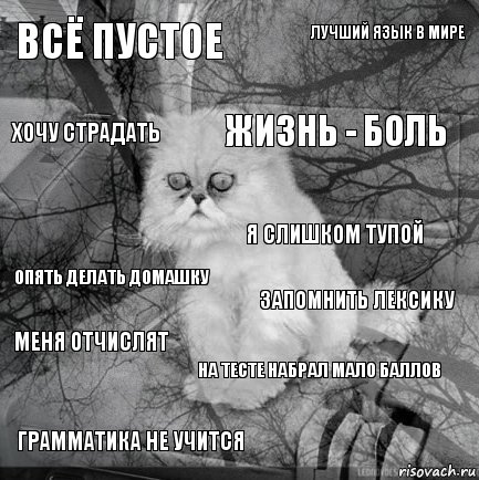 всё пустое запомнить лексику жизнь - боль грамматика не учится опять делать домашку лучший язык в мире на тесте набрал мало баллов хочу страдать меня отчислят я слишком тупой, Комикс  кот безысходность