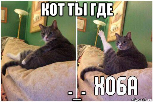 кот ты где -_-, Комикс Кот Хоба