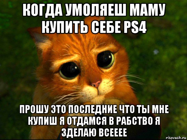 когда умоляеш маму купить себе ps4 прошу это последние что ты мне купиш я отдамся в рабство я зделаю всееее, Мем кот из шрека