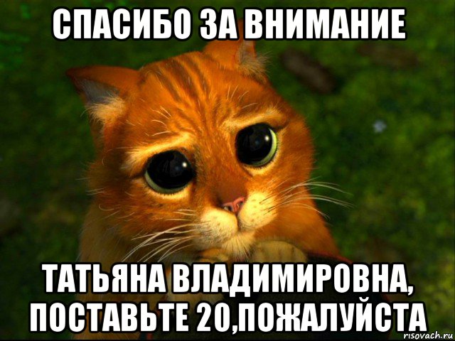 спасибо за внимание татьяна владимировна, поставьте 20,пожалуйста, Мем кот из шрека