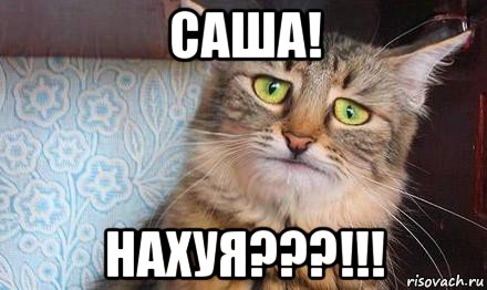 саша! нахуя???!!!