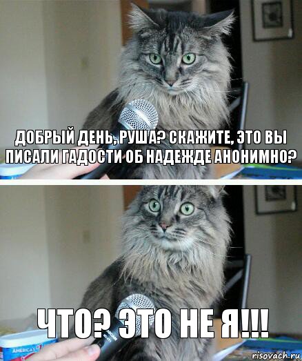 Добрый день, руша? Скажите, это вы писали гадости об Надежде анонимно? Что? Это не я!!!, Комикс  кот с микрофоном