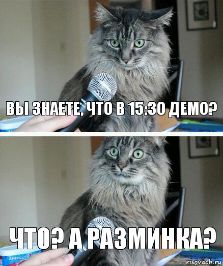 ВЫ ЗНАЕТЕ, ЧТО В 15:30 ДЕМО? ЧТО? А РАЗМИНКА?, Комикс  кот с микрофоном