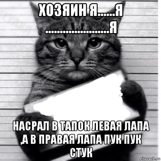 хозяин я......я ......................я насрал в тапок левая лапа ,а в правая лапа пук пук стук, Мем Кот с табличкой