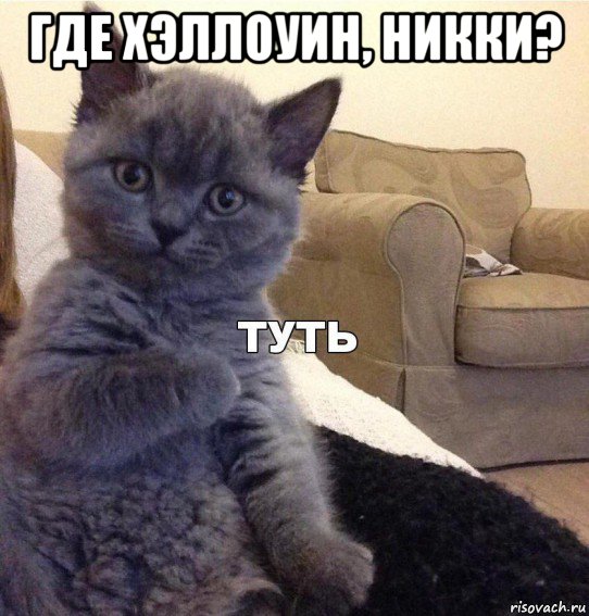 где хэллоуин, никки? , Мем Котик - Туть