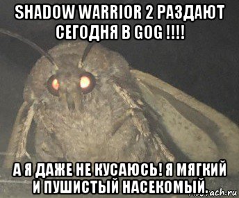 shadow warrior 2 раздают сегодня в gog !!!! а я даже не кусаюсь! я мягкий и пушистый насекомый., Мем Матылёк