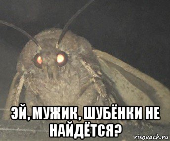  эй, мужик, шубёнки не найдётся?