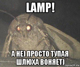 lamp! а не) просто тупая шлюха воняет), Мем Матылёк