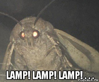  lamp! lamp! lamp! . . ., Мем Матылёк