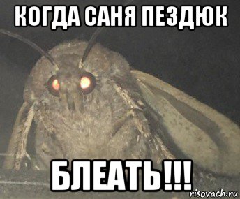 когда саня пездюк блеать!!!, Мем Матылёк