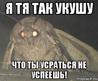 я тя так укушу что ты усраться не успеешь!, Мем Матылёк