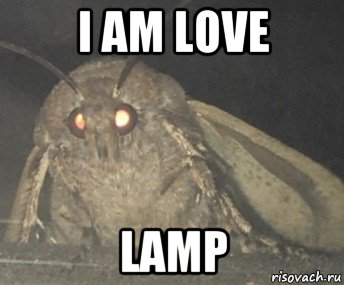 i am love lamp, Мем Матылёк