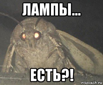 лампы... есть?!, Мем Матылёк